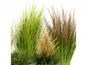 Collection Plant Vol 383 - Blender Model 3D Model