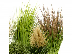 Collection Plant Vol 383 - Blender Model 3D Model