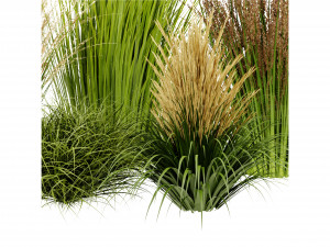 Collection Plant Vol 383 - Blender Model 3D Model