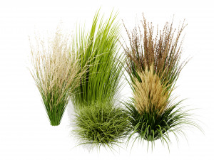 Collection Plant Vol 383 - Blender Model 3D Model