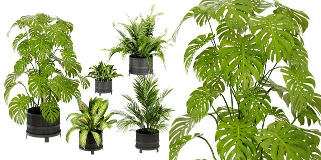 Collection Plant Vol 384 - Blender Model 3D Model .c4d .max .obj .3ds .fbx .stl .blend 