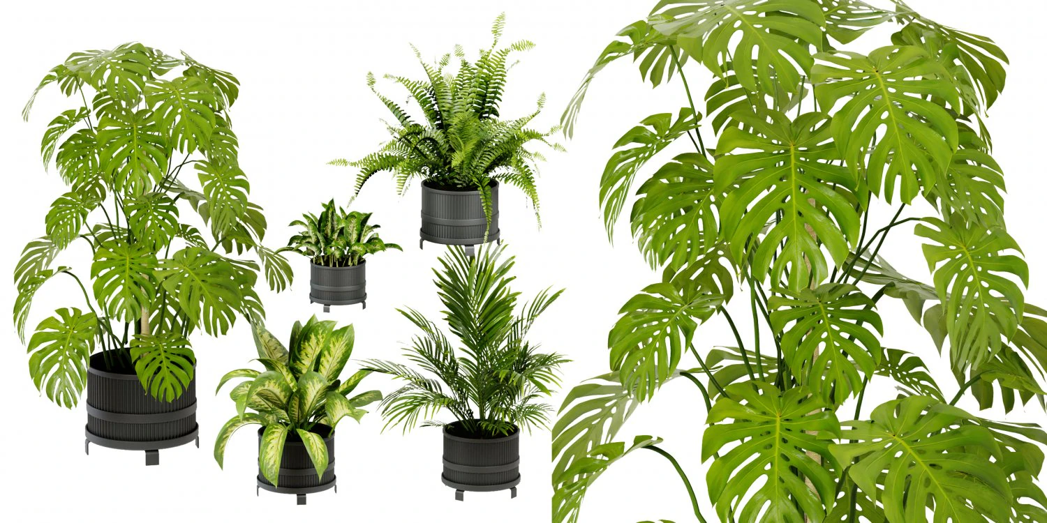 Collection Plant Vol 384 - Blender Model 3D Model .c4d .max .obj .3ds .fbx .stl .blend 