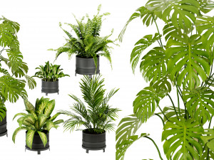 Collection Plant Vol 384 - Blender Model Model 3D