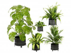 Collection Plant Vol 384 - Blender Model 3D Model