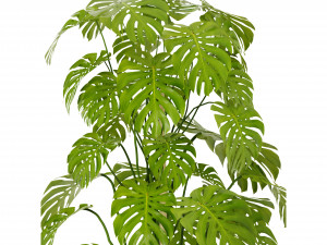 Collection Plant Vol 384 - Blender Model 3D Model