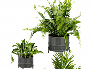 Collection Plant Vol 384 - Blender Model 3D Model