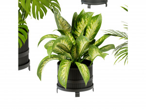 Collection Plant Vol 384 - Blender Model 3D Model
