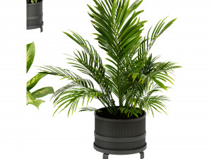 Collection Plant Vol 384 - Blender Model 3D Model