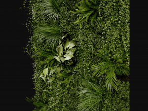 Collection Plant Vol 386 - Blender Model 3D मॉडल