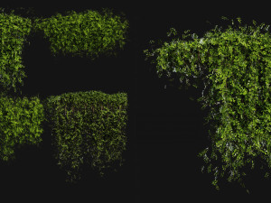 Collection Plant Vol 387 - Blender Model 3D Model