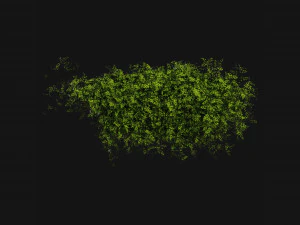 Collection Plant Vol 387 - Blender Model 3D Model