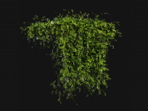 Collection Plant Vol 387 - Blender Model 3D Model