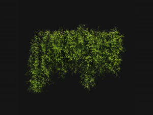 Collection Plant Vol 387 - Blender Model 3D Model