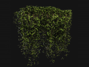 Collection Plant Vol 387 - Blender Model Modelo 3D