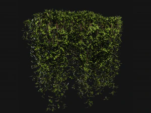 Collection Plant Vol 387 - Blender Model 3D Model