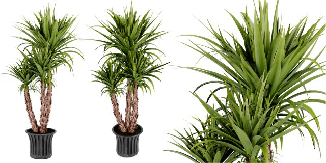 Collection Plant Vol 388 - Blender Model Modelo 3D .c4d .max .obj .3ds .fbx .stl .blend 