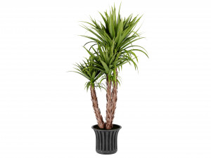 Collection Plant Vol 388 - Blender Model Modelo 3D