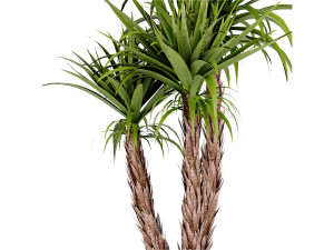 Collection Plant Vol 388 - Blender Model Modelo 3D