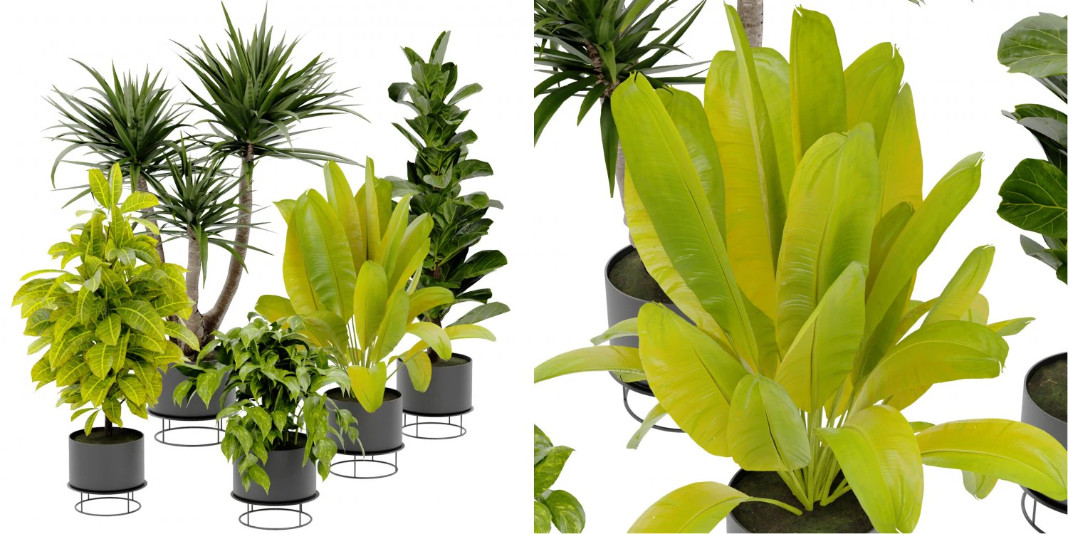 Collection Plant Vol 389 - Blender Model 3D Model .c4d .max .obj .3ds .fbx .stl .blend 