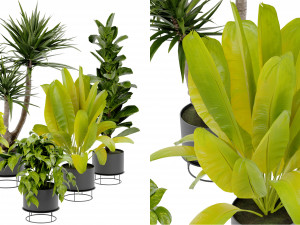 Collection Plant Vol 389 - Blender Model 3D Model
