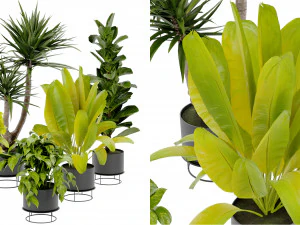 Koleksi Tanaman Vol 389 - Model Blender Model 3D