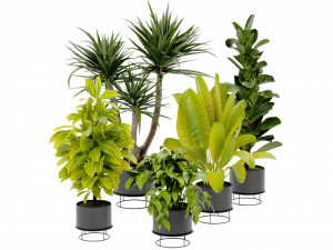 Collection Plant Vol 389 - Blender Model Model 3D