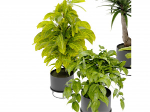 Collection Plant Vol 389 - Blender Model Model 3D