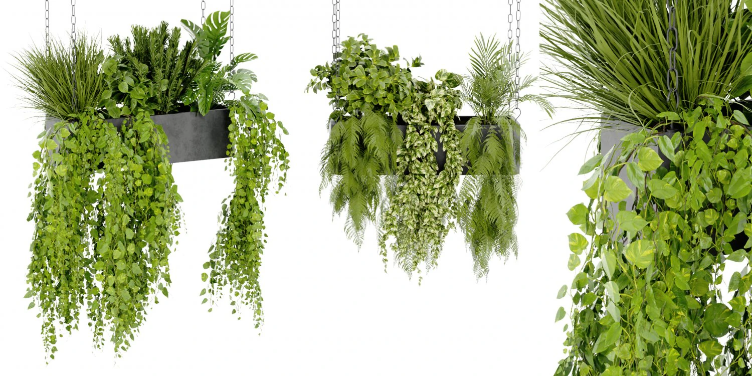 Collection Plant Vol 391 - Blender Model 3D Model .c4d .max .obj .3ds .fbx .stl .blend