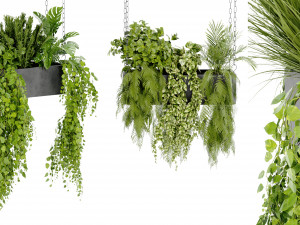 Collection Plant Vol 391 - Blender Model 3D मॉडल