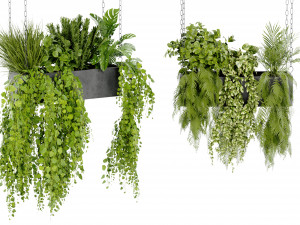 Collection Plant Vol 391 - Blender Model 3Dモデル