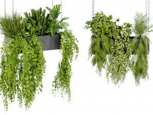 Collection Plant Vol 391 - Blender Model 3D Model