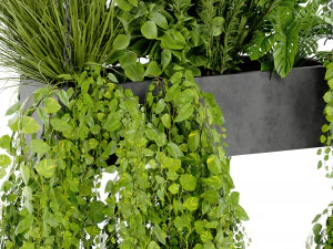 Collection Plant Vol 391 - Blender Model 3D Model