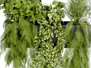Collection Plant Vol 391 - Blender Model 3D Model