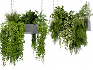 Collection Plant Vol 391 - Blender Model 3D Model