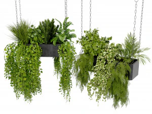 Collection Plant Vol 391 - Blender Model 3D Model