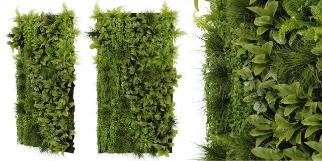 Collection Plant Vol 392 - Blender Model 3D मॉडल .c4d .max .obj .3ds .fbx .stl .blend 