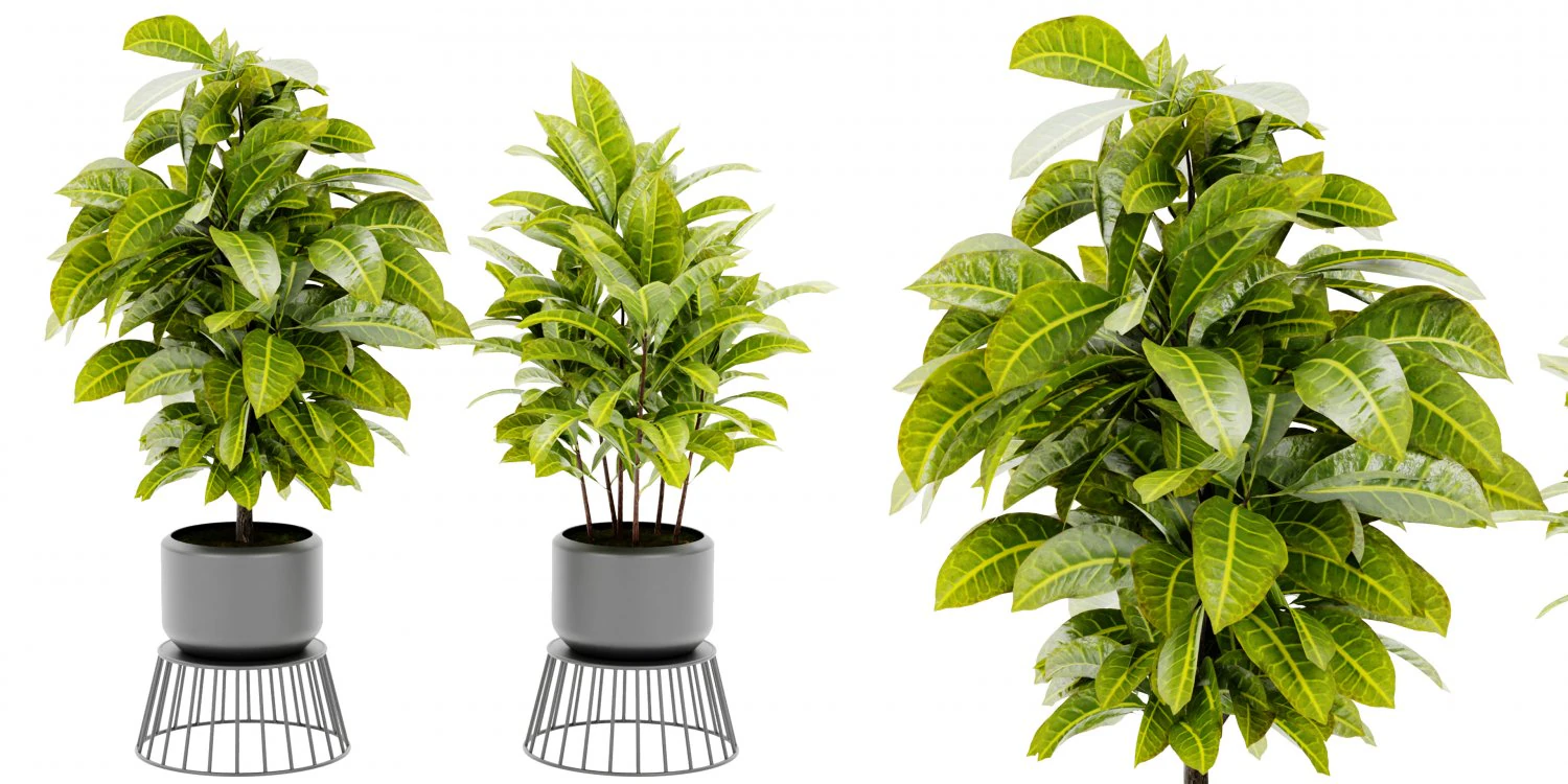 Collection Plant Vol 393 - Blender Model 3D Model .c4d .max .obj .3ds .fbx .stl .blend 