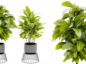Collection Plant Vol 393 - Blender Model 3D Model
