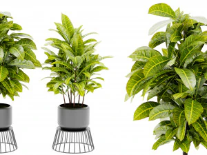 Collection Plant Vol 393 &ndash; Blender-Modell 3D Modell