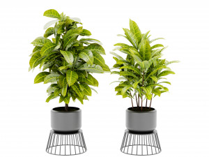 Collection Plant Vol 393 - Blender Model Modèle 3D