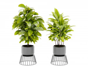 Collection Plant Vol 393 - Blender Model 3D Model