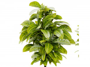Collection Plant Vol 393 - Blender Model 3D Model
