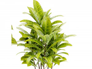Collection Plant Vol 393 - Blender Model 3D Model