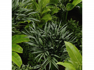 Collection Plant Vol 394 - Blender Model 3D 模型