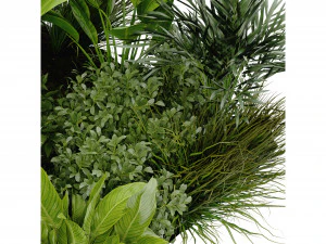 Collection Plant Vol 394 - Blender Model 3D Model