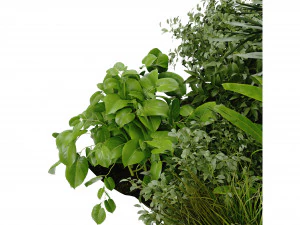 Collection Plant Vol 394 - Blender Model 3D Model