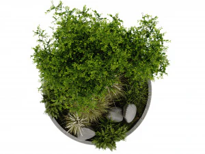Collection Plant Vol 395 - Blender Model 3D Model