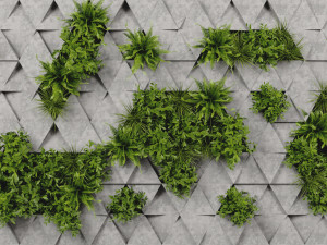 Collection Plant Vol 396 - Blender Model Model 3D