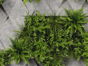 Collection Plant Vol 396 - Blender Model Model 3D