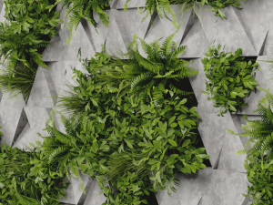 Collection Plant Vol 396 - Blender Model Model 3D
